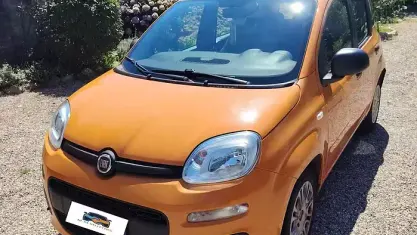 Usata Fiat Panda Easy 69 CV (50 kW) 2019 Arancione Utilitaria