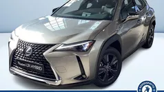 Grigio metallizzato Nuova 2025 Lexus UX SUV | 26.470 € (Ottimo prezzo)