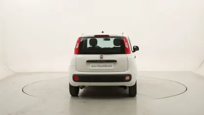 Usata Fiat Panda 69 CV (50 kW) 2020 Biancobianco Utilitaria