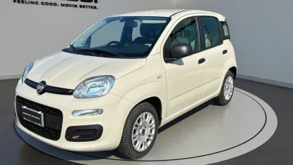 Usata Fiat Panda Lounge 69 CV (50 kW) 2016 Beige Utilitaria