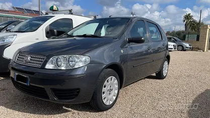 Usata Fiat Punto Active 59 CV (43 kW) 2010 Utilitaria