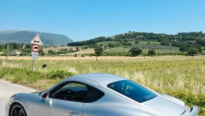 Usata Porsche Cayman 295 CV (216 kW) 2006 Grigio Coupé