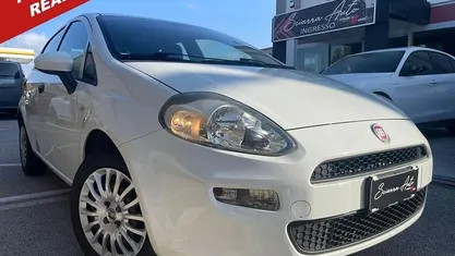 Usata Fiat Punto Street 77 CV (56 kW) 2015 Utilitaria