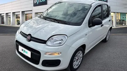 Usata Fiat Panda S 70 CV (51 kW) 2021 Bianco Utilitaria