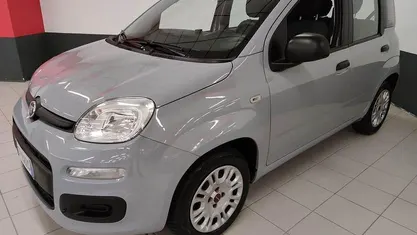 Usata Fiat Panda Easy 69 CV (50 kW) 2019 Utilitaria