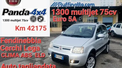 Usata Fiat Panda 4x4 Climbing 75 CV (55 kW) 2011 Utilitaria