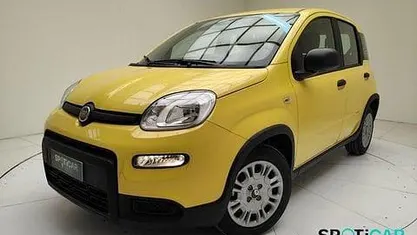 Usata Fiat Panda S 69 CV (50 kW) 2024 Giallo Utilitaria