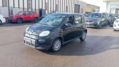 Usata Fiat Panda S 69 CV (50 kW) 2024 Utilitaria