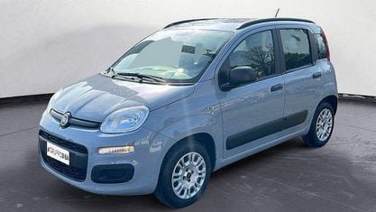 Usata Fiat Panda Easy 69 CV (50 kW) 2019 Grigio Utilitaria