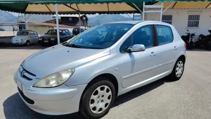 Usata Peugeot 307 68 CV (50 kW) 2004 Grigio Berlina
