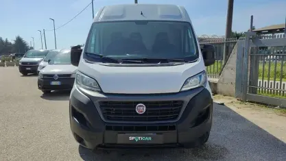 Usata Fiat Ducato 33 116 CV (85 kW) 2019 Bianco Furgone