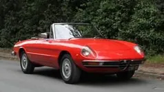 Usata 1972 Alfa Romeo Spider Veloce Cabrio | 22.938 €