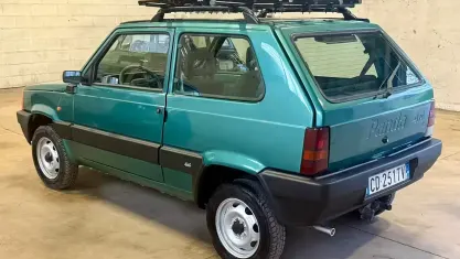 Usata Fiat Panda 4x4 54 CV (39 kW) 2002 Verde Utilitaria