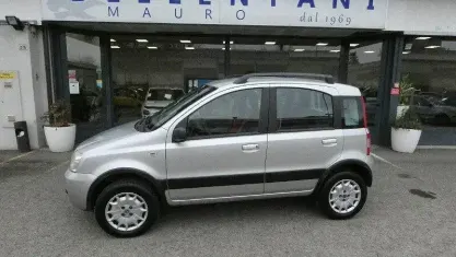 Usata Fiat Panda 4x4 Climbing 60 CV (44 kW) 2006 Grigio Utilitaria