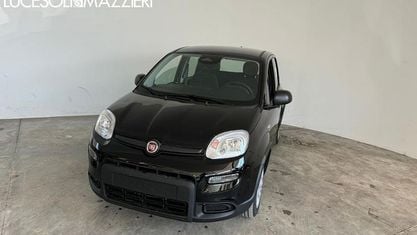 Usata Fiat Panda 70 CV (51 kW) 2024 Nero Utilitaria