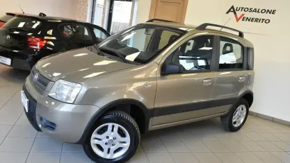 Usata Fiat Panda 4x4 69 CV (50 kW) 2008 Marrone Utilitaria
