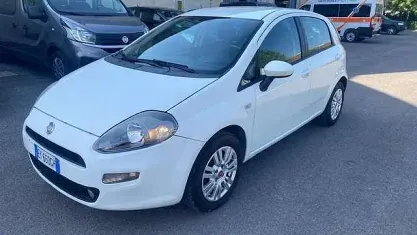Usata Fiat Punto Lounge 69 CV (50 kW) 2015 Bianco gelato Utilitaria