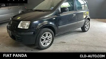 Usata Fiat Panda Dynamic 60 CV (44 kW) 2010 Nero Utilitaria