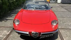 Usata 1967 Alfa Romeo Spider Cabrio | 32.700 €