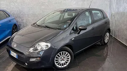 Usata Fiat Punto Lounge 75 CV (55 kW) 2015 Grigio Utilitaria