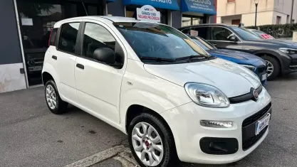 Usata Fiat Panda Easy 70 CV (51 kW) 2019 Bianco Utilitaria