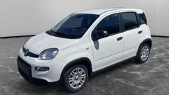 Bianco Nuova 2024 Fiat Panda S Due volumi | 13.900 €