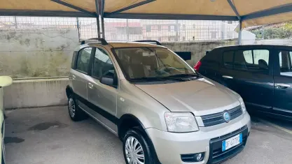 Usata Fiat Panda 4x4 Climbing 69 CV (50 kW) 2007 Grigio Utilitaria