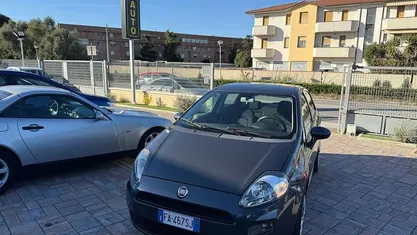 Usata Fiat Punto Young 75 CV (55 kW) 2015 Utilitaria