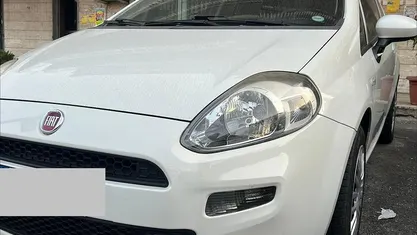 Usata Fiat Punto 75 CV (55 kW) 2015 Utilitaria