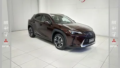 Usata Lexus UX Luxury Line 184 CV (135 kW) 2021 Bronzo SUV