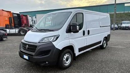 Bianco Usata 2020 Fiat Ducato Furgone | 14.500 € (Ottimo prezzo)