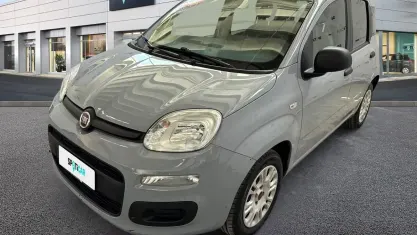 Usata Fiat Panda Easy 69 CV (50 kW) 2019 Grigio Utilitaria