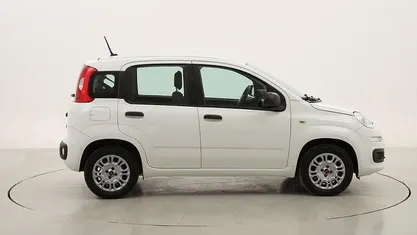 Usata Fiat Panda Easy 69 CV (50 kW) 2020 Utilitaria