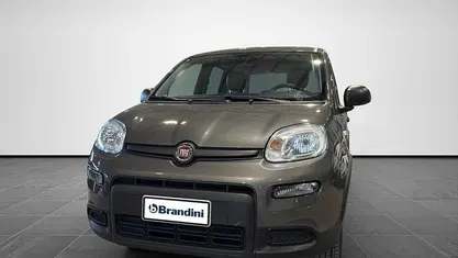 Usata Fiat Panda S 70 CV (51 kW) 2023 Utilitaria