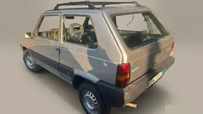 Usata Fiat Panda 4x4 Trekking 54 CV (39 kW) 2001 Grigio Utilitaria