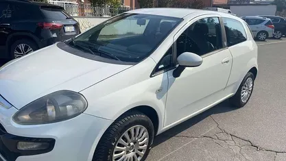 Usata Fiat Punto Evo Dynamic 69 CV (50 kW) 2011 Utilitaria