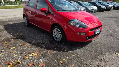 Usata Fiat Punto Lounge 69 CV (50 kW) 2016 Rosso Utilitaria