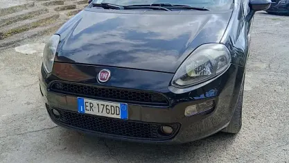 Usata Fiat Punto Lounge 85 CV (62 kW) 2014 Nero Utilitaria
