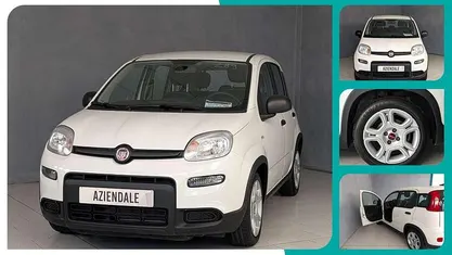 Usata Fiat Panda City Life 70 CV (51 kW) 2023 Bianco Berlina