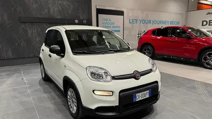 Usata Fiat Panda S 69 CV (50 kW) 2024 Utilitaria
