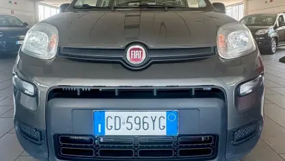Usata Fiat Panda 4x4 Wild 85 CV (62 kW) 2021 Grigio Utilitaria