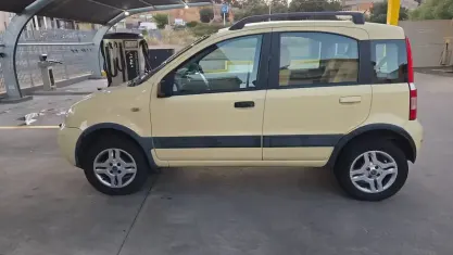 Usata Fiat Panda 4x4 Climbing 60 CV (44 kW) 2006 Giallo Utilitaria