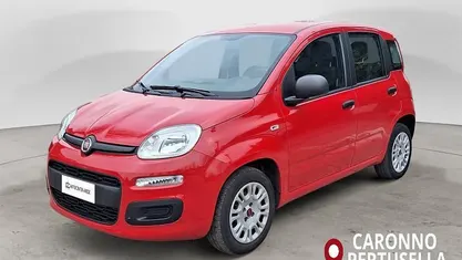 Usata Fiat Panda Easy 69 CV (50 kW) 2020 Rosso Utilitaria