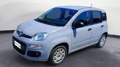 Usata Fiat Panda Easy 69 CV (50 kW) 2021 Grigio Utilitaria