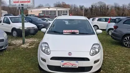 Usata Fiat Punto 77 CV (56 kW) 2016 Bianco Utilitaria