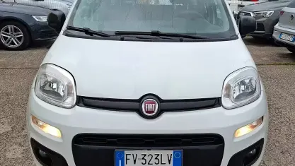 Usata Fiat Panda 69 CV (50 kW) 2019 Bianco Utilitaria