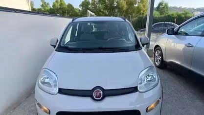 Usata Fiat Panda 4x4 S 95 CV (69 kW) 2015 Beige Utilitaria