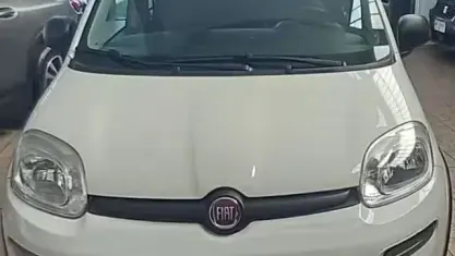 Usata Fiat Panda 4x4 S 84 CV (61 kW) 2019 Bianco Utilitaria