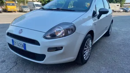 Usata Fiat Punto Lounge 77 CV (56 kW) 2015 Bianco Utilitaria