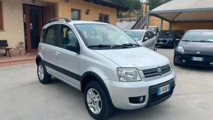 Usata Fiat Panda 4x4 69 CV (50 kW) 2007 Grigio Utilitaria
